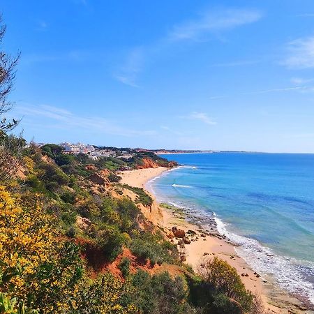 Beach Condo With Atlantic Ocean View By Becherish Olhos de Agua  Ngoại thất bức ảnh