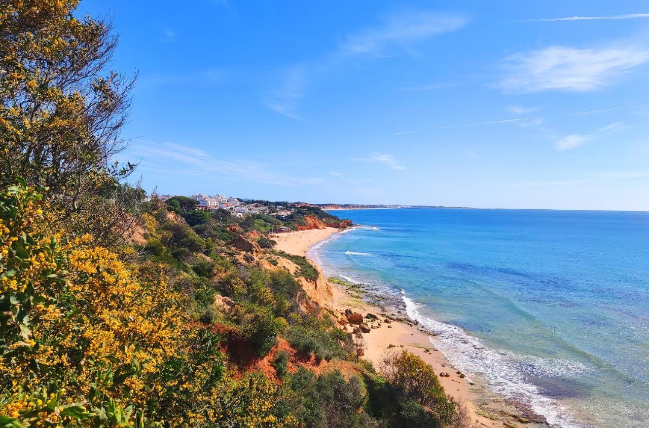 Beach Condo With Atlantic Ocean View By Becherish Olhos de Agua  Ngoại thất bức ảnh